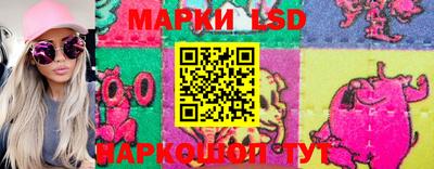 кокс Можга