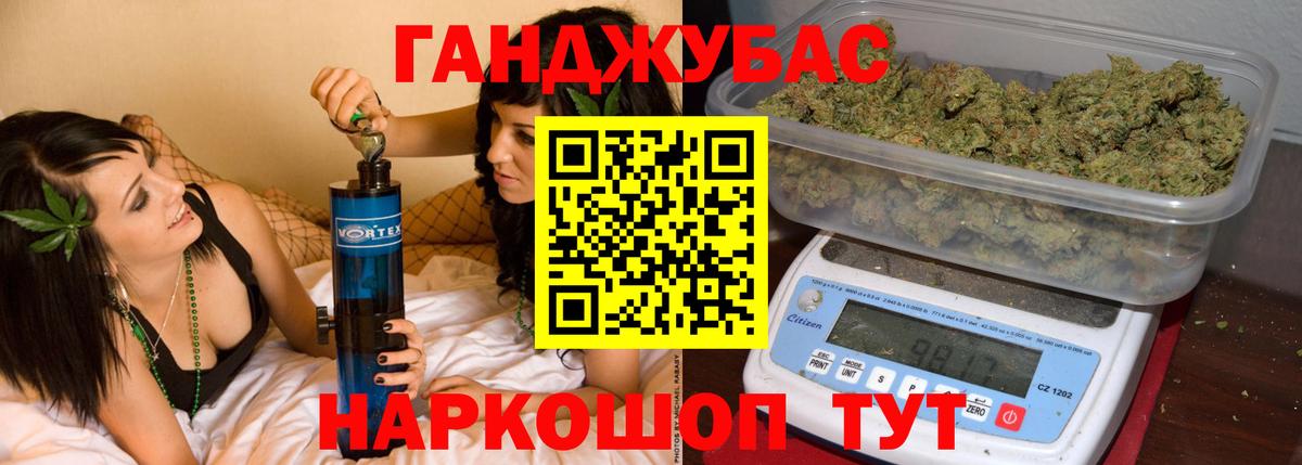 Шишки марихуана гибрид Сунжа